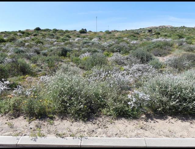 LAND FOR SALE IN ST HELENA VIEWS